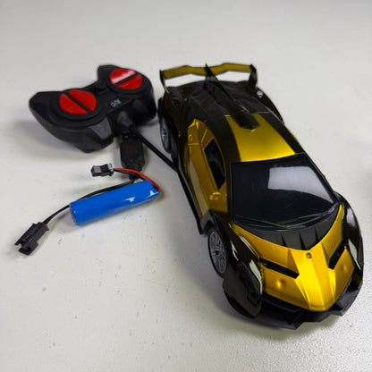Remote Control Car Rechargeable car 1:24 scale